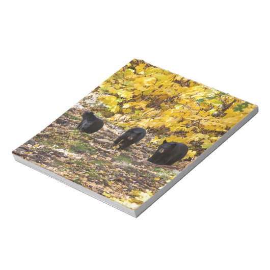 Bloc-note Trois ours (Tourné)