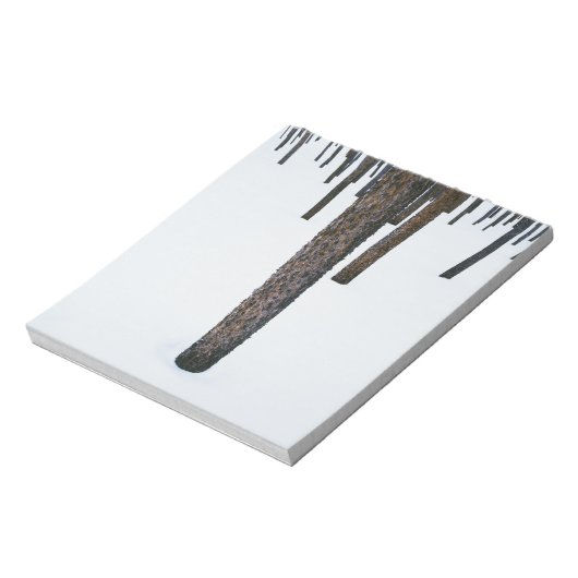 Bloc-note Troncs d'arbre dans la neige (Tourné)