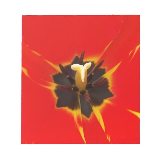 Bloc-note tulipe jaune rouge (Devant)