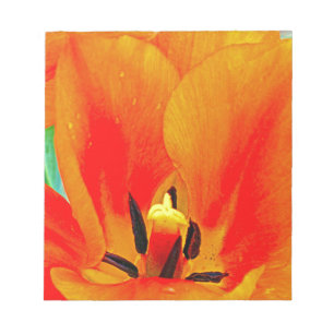 Bloc-note Tulipe orange
