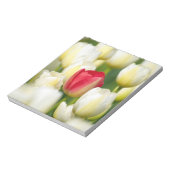 Bloc-note Tulipe rouge dans un champ de tulipes blanches (Tourné)