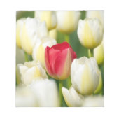 Bloc-note Tulipe rouge dans un champ de tulipes blanches (Devant)