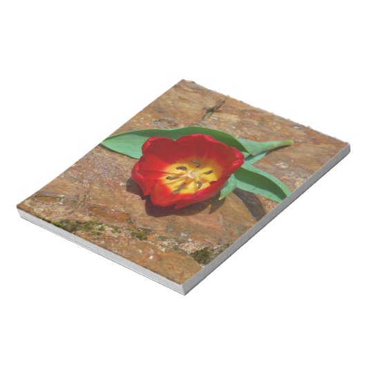 Bloc-note Tulipe rouge du printemps (Tourné)