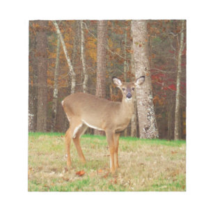 Bloc-note Un cerf de rêve de chasseur