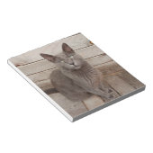 Bloc-note Un chat noble gris (Incliné)