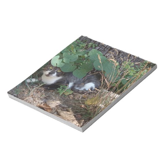 Bloc-note Un chat qui se cache (Tourné)