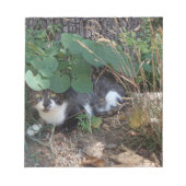 Bloc-note Un chat qui se cache (Devant)