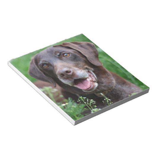 Bloc-note Un chien de pointer allemand à cheveux courts dans (Incliné)