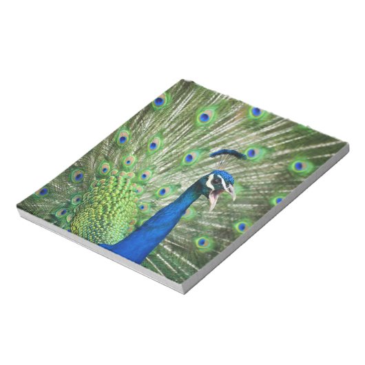 Bloc-note Un paon hurle (Tourné)