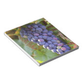 Bloc-note Une grappe de raisins Pinot Noir dans un Chamberti (Incliné)