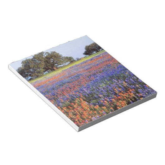 Bloc-note USA, Texas, Llano. Bluebonnets et redbonnets (Incliné)