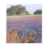 Bloc-note USA, Texas, Llano. Bluebonnets et redbonnets (Devant)
