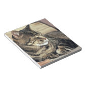 Bloc-note USA, Utah, Capitol Reef NP. Tablette dormante (Incliné)