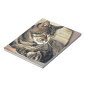 Bloc-note USA, Utah, Capitol Reef NP. Tablette dormante (Tourné)