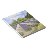 Bloc-note USA, WA, Sequim, Purple Haze Lavender Farm (Incliné)