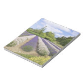 Bloc-note USA, WA, Sequim, Purple Haze Lavender Farm (Tourné)