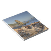 Bloc-note USA, Washington, Parc National Olympique, Rialto (Incliné)