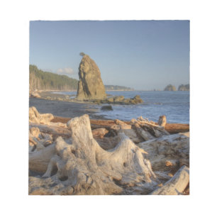 Bloc-note USA, Washington, Parc National Olympique, Rialto