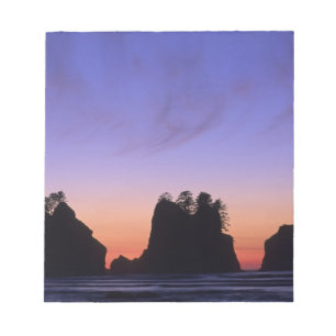 Bloc-note USA, Washington, Parc National Olympique, Shi-shi