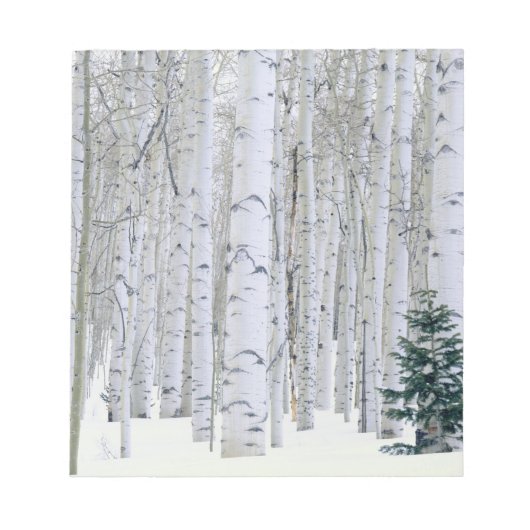 Bloc-note UTAH. ÉTATS-UNIS. Tremble (Populus tremuloides) & (Devant)