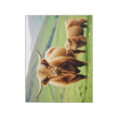 Bloc-note Vache des Highlands Animal Nature Faune Affection (Tourné)