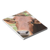 Bloc-note Vache Safari Brown (Incliné)