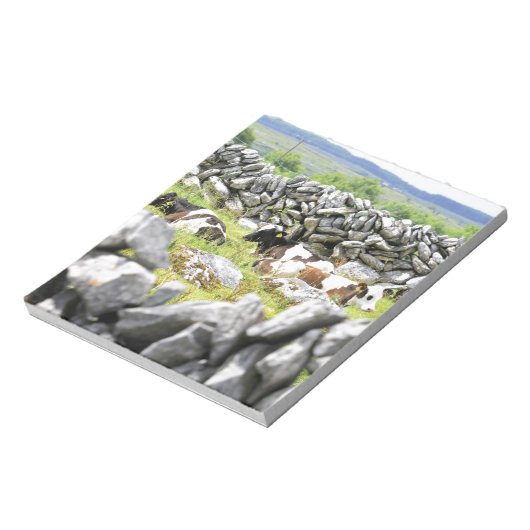 Bloc-note Vaches Moo (Tourné)