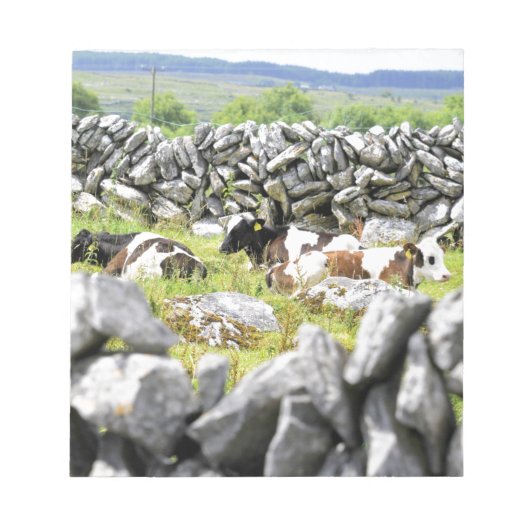 Bloc-note Vaches qui mugissent (Devant)