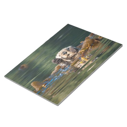 Bloc-note Vague Louter de mer (Incliné)