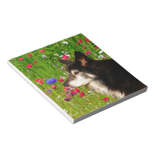 Bloc-note Valentine Frontière Collie avec de belles fleurs (Incliné)