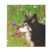 Bloc-note Valentine Frontière Collie avec de belles fleurs (Devant)