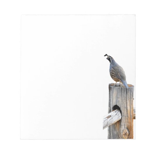 Bloc-note Vallée Quail Photo Note Papier (Devant)