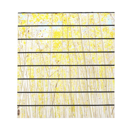 Bloc-note Vanilla Cake Aspen arbres Flagstaff, Arizona (Devant)