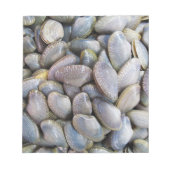 Bloc-note Venus Clam [palourde] (Devant)