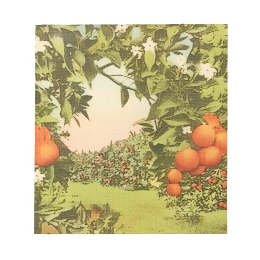 Bloc-note Verger d'orange vintage (Devant)
