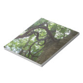 Bloc-note vieilles vignes enchevêtrées dans l'arbre (Tourné)