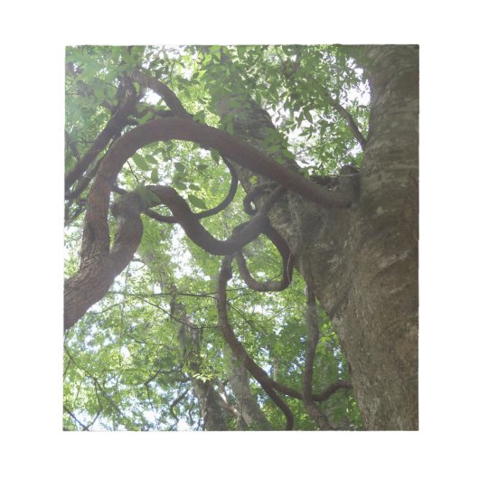 Bloc-note vieilles vignes enchevêtrées dans l'arbre (Devant)