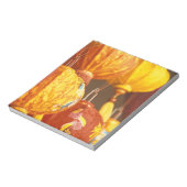 Bloc-note Vietnam, Hoi An Grandes lanternes, souvenirs (Tourné)