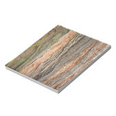 Bloc-note vieux arbre (Tourné)