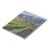 Bloc-note vignes de Cabernet Sauvignon à Huailai Rongchen (Tourné)