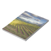 Bloc-note Vignoble. Napa Valley. Napa. Comté de Napa, (Tourné)