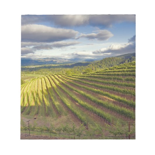 Bloc-note Vignoble. Vallée de Napa. Napa. Comté de Napa, (Devant)