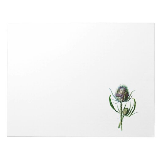 Bloc-note Vintage 1902 Scottish Thistle Antique Fleur sauvag (Devant)