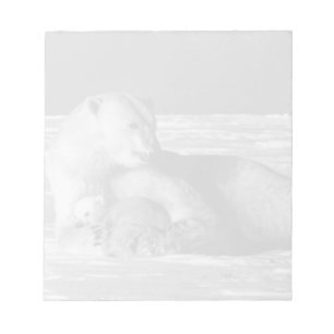 Bloc-note Vintage USA Alaska mère ours polaire 1970