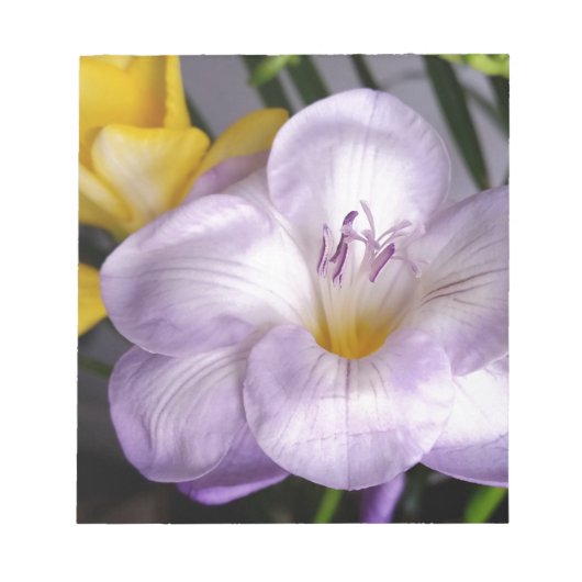 Bloc-note violet freesia (Devant)
