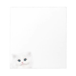 Bloc-note Visage de chaton persan blanc