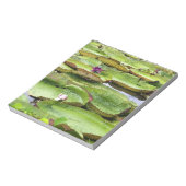 Bloc-note Vitoria Regis, nénuphars géants en Amazonie (Tourné)