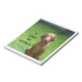 Bloc-note vizsla love w pic (Tourné)