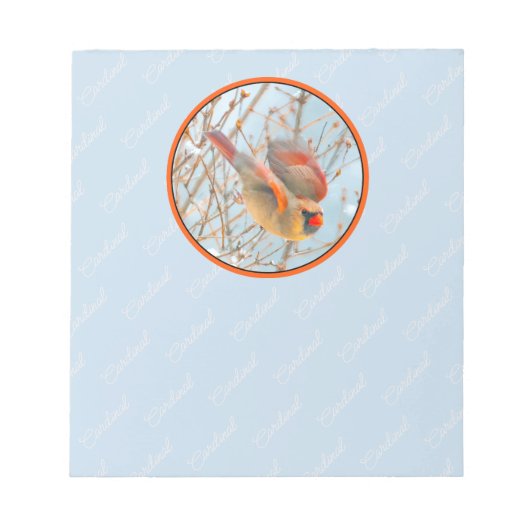 Bloc-note Vol Cardinal Nord - Photo originale (Devant)