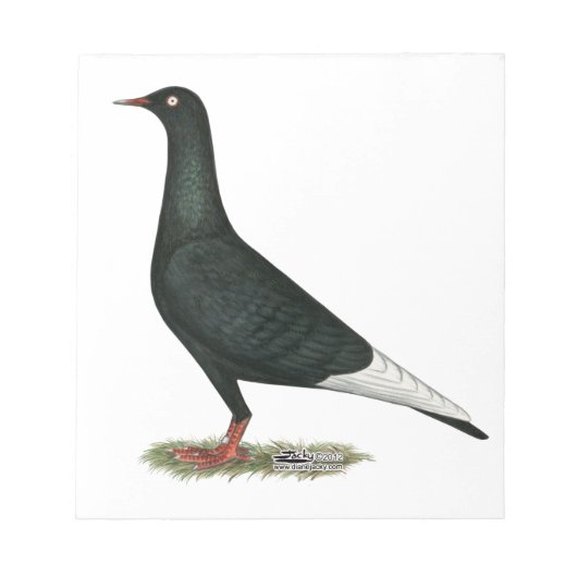 Bloc-note Vol vol Pigeon noir (Devant)